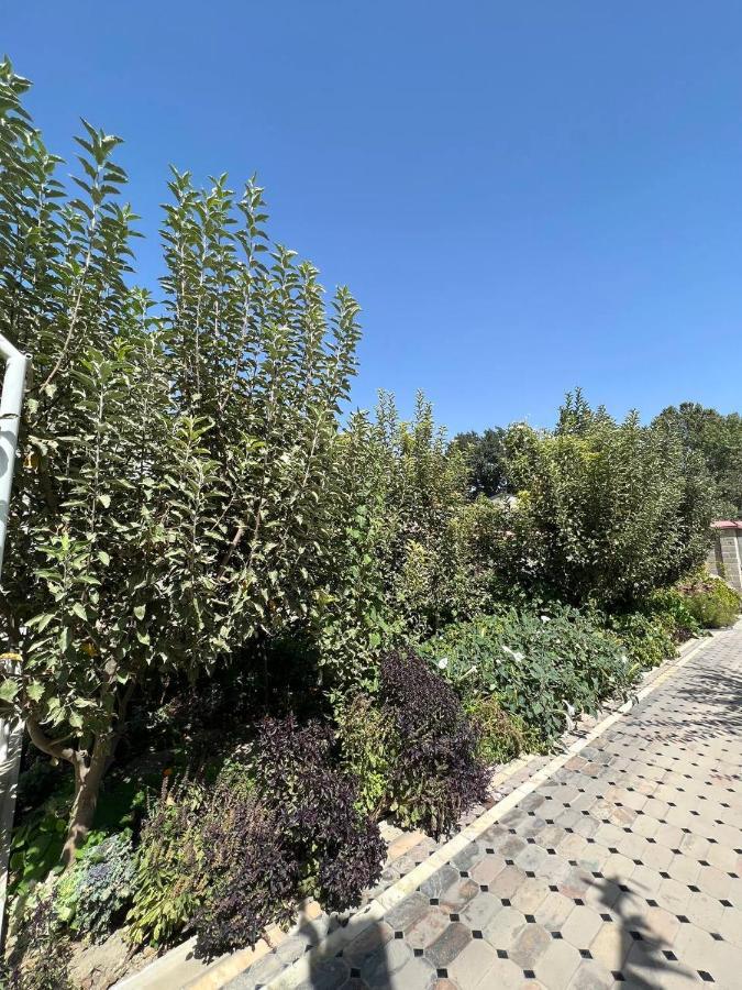 Stariy Marokand Samarkand Exteriér fotografie